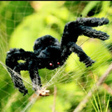 Super Sized Halloween Furry Black Fake Spider Decoration Prop